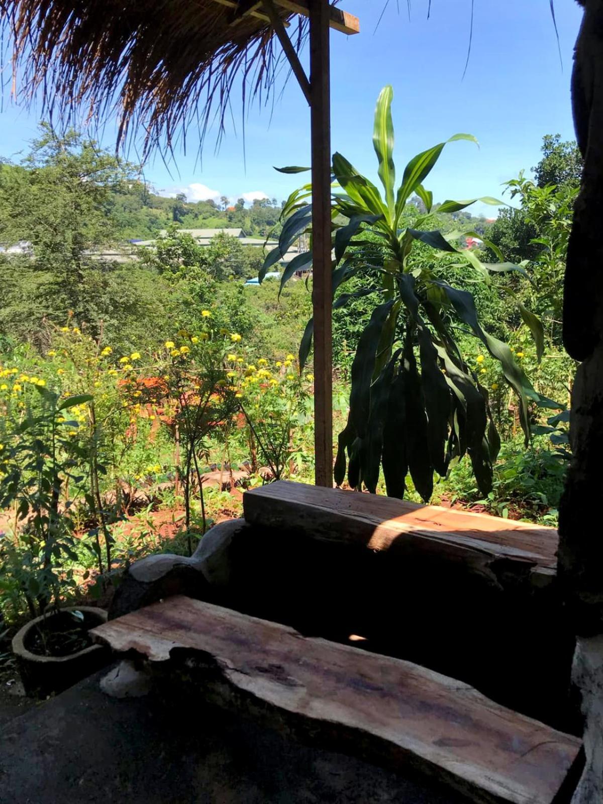 Backpacker Hostel And Jungle Trekking Banlung Buitenkant foto